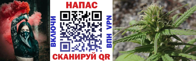 Шишки марихуана планчик Кизляр